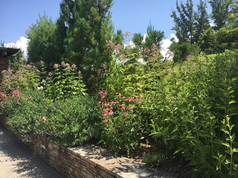 RESIDENTIAL Sprinkle Creek