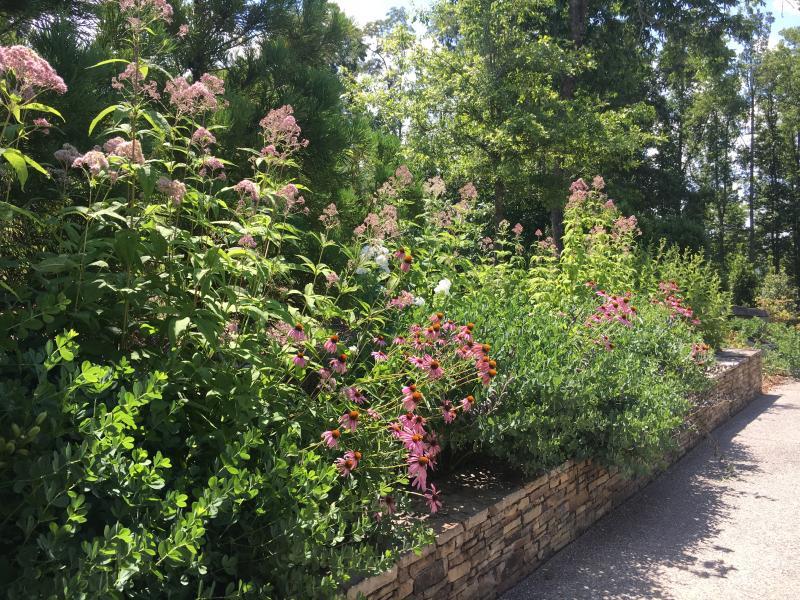 BEFORE / AFTER Sprinkle Creek